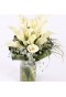 Callas in vase